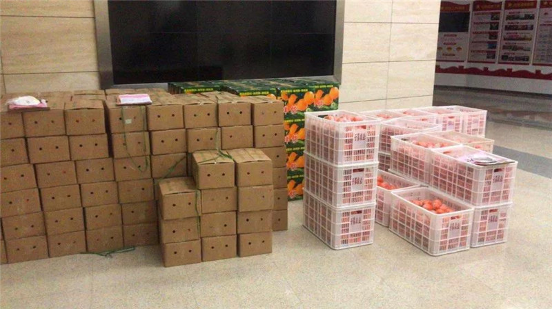 1581491433566427.jpg 5.jpg